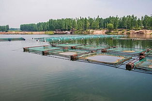 內陸水產養殖存在的問題與未來發展趨勢